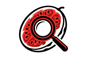 Bsport体育app - 吃瓜社Logo